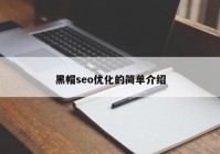 黑帽seo優(yōu)化的簡(jiǎn)單介紹