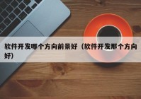 軟件開發(fā)哪個方向前景好（軟件開發(fā)那個方向好）