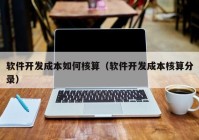 軟件開發(fā)成本如何核算（軟件開發(fā)成本核算分錄）