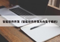 智能軟件開發(fā)（智能軟件開發(fā)方向是干嘛的）