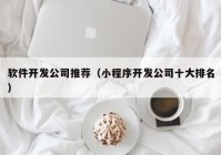 軟件開發(fā)公司推薦（小程序開發(fā)公司十大排名）