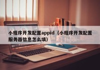 小程序開發(fā)配置appid（小程序開發(fā)配置服務(wù)器信息怎么填）