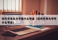 軟件開發(fā)在大學(xué)是什么專業(yè)（軟件開發(fā)大學(xué)學(xué)什么專業(yè)）