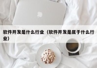 軟件開發(fā)是什么行業(yè)（軟件開發(fā)是屬于什么行業(yè)）