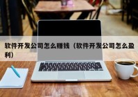 軟件開發(fā)公司怎么賺錢（軟件開發(fā)公司怎么盈利）